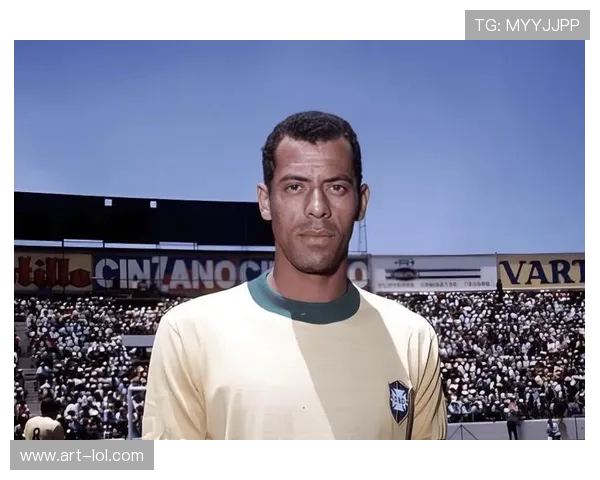 从青涩少年到足球传奇：某球星的一生与职业生涯全纪录